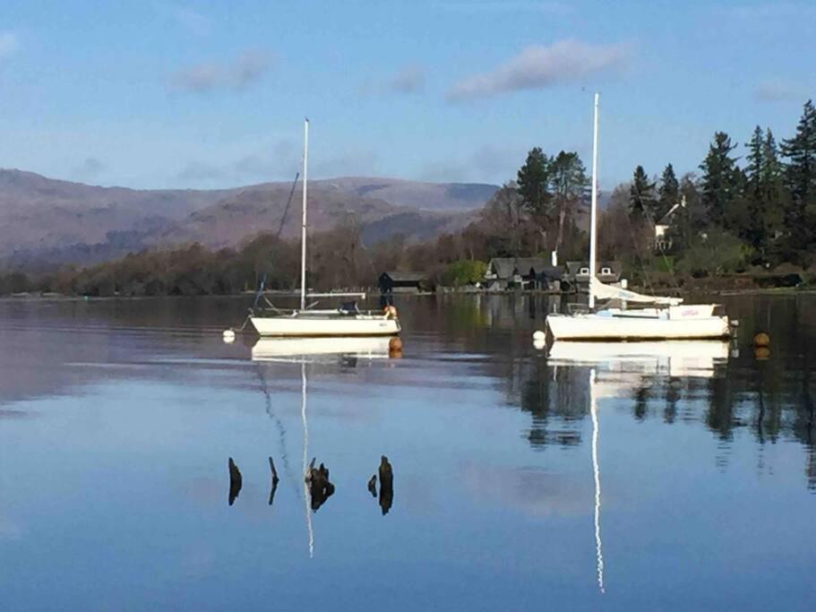 Holly * Bowness-on-Windermere